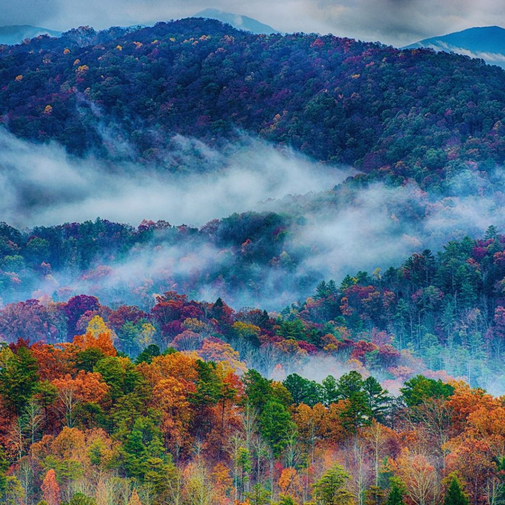 smoky mountains